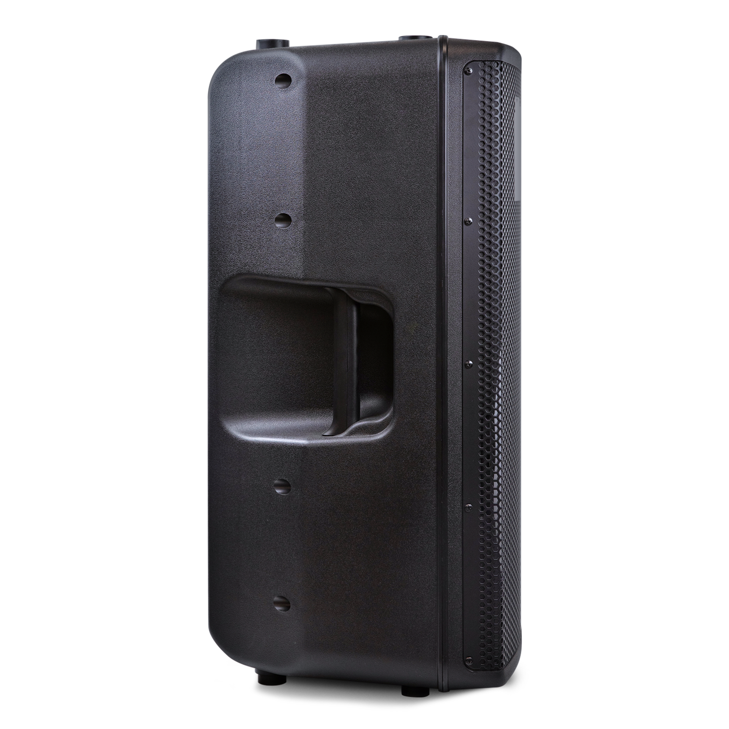 Parlante Profesional Moonki Sound MS-P15BW