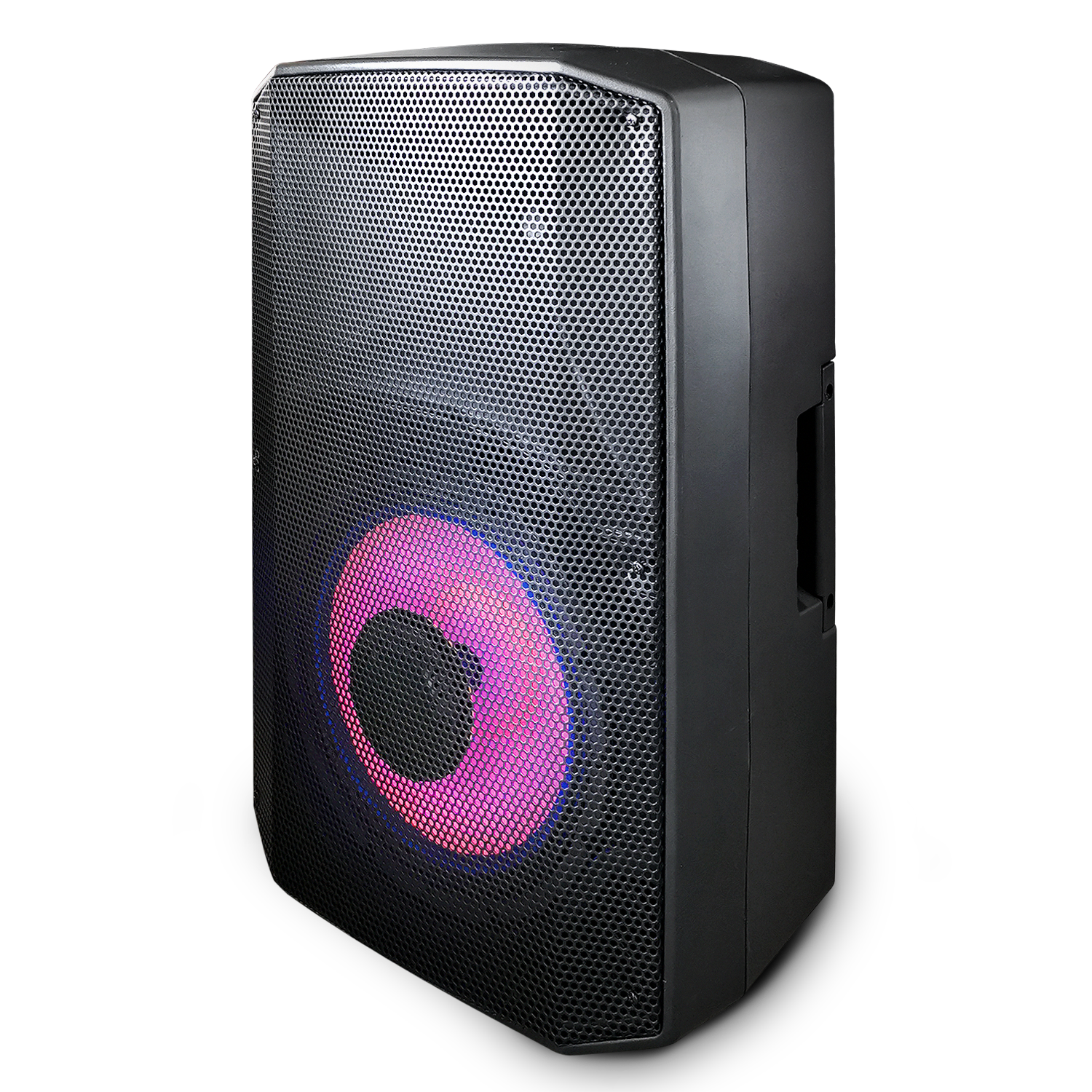 Parlante Profesional Moonki Sound MS-112DSP